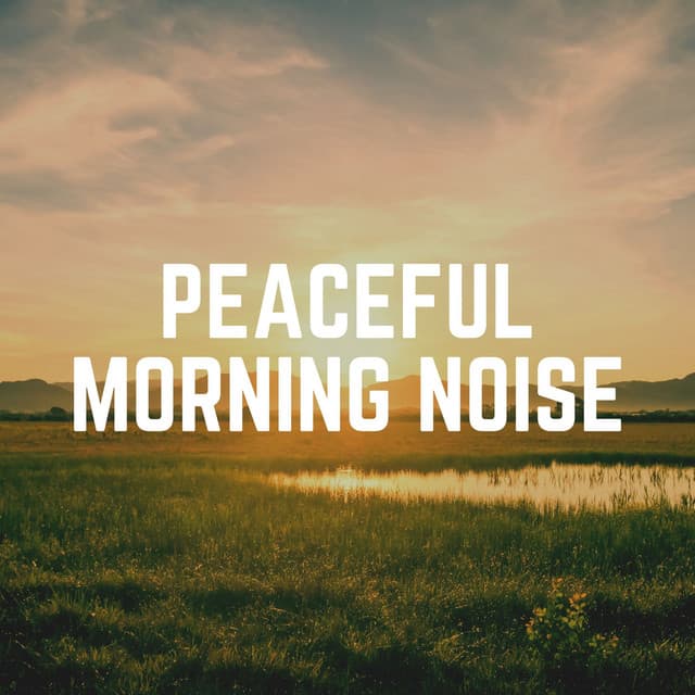Peaceful Morning Noise - White Noise ASMR