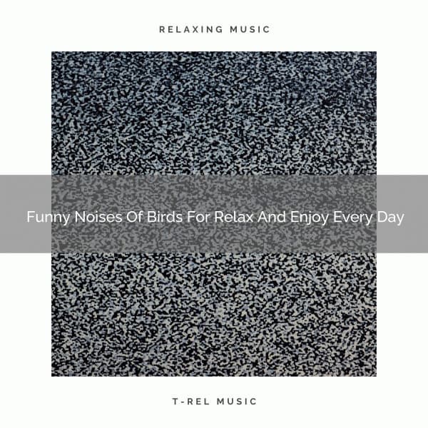 2021 New: Funny Noises Of Birds For Relax And Enjoy Every Day - Baby Hush for Sleep