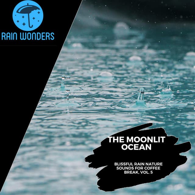 The Moonlit Ocean - Blissful Rain Nature Sounds for Coffee Break, Vol. 5 - Rain Sounds