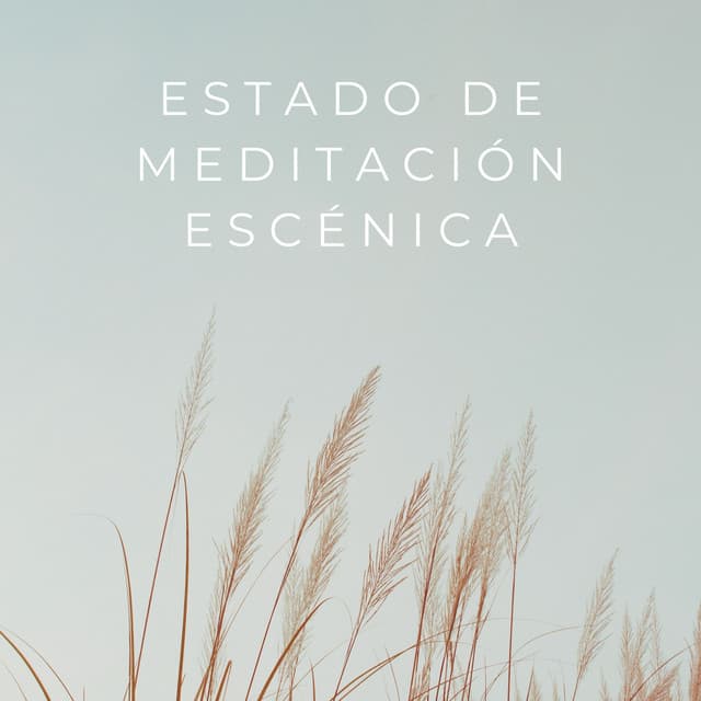 Estado De Meditación Escénica - Flor de Loto