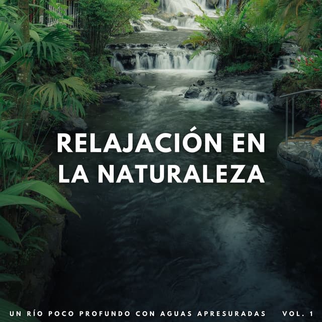 Relajación En La Naturaleza: Un Río Poco Profundo Con Aguas Apresuradas Vol. 1 - NatuREM