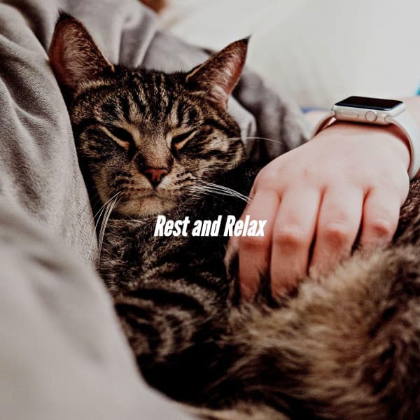 Rest and Relax - Happy Jazz