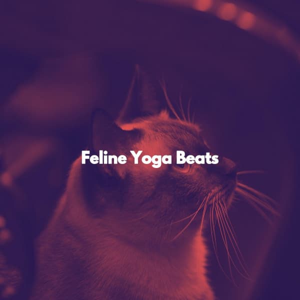 Feline Yoga Beats - Breakfast Jazz Radio
