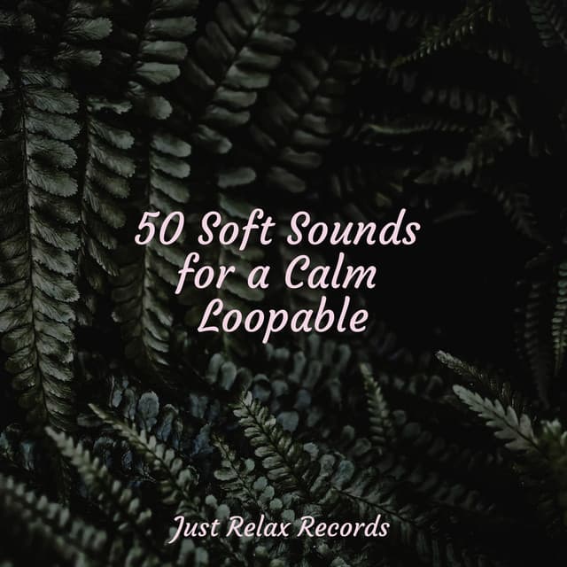 50 Soft Sounds for a Calm Loopable - Musica romantica instrumental