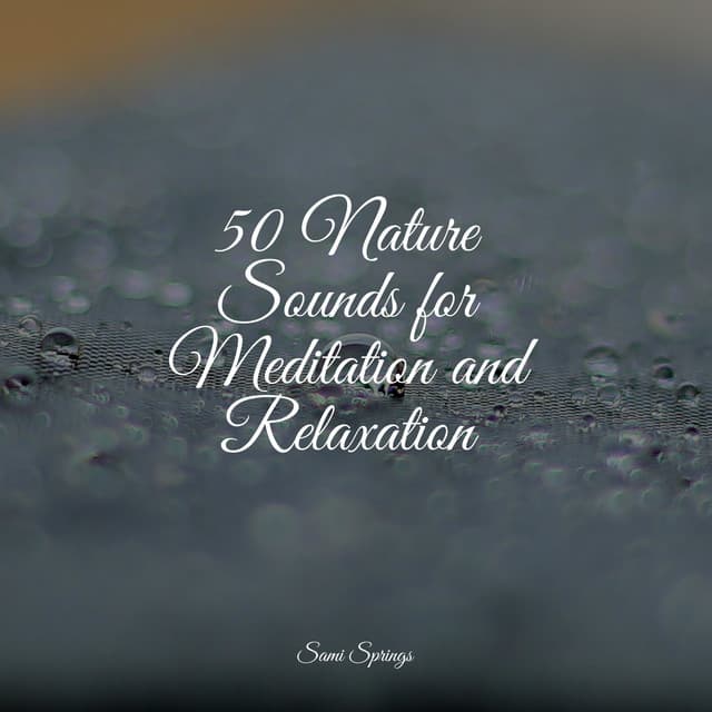 50 Nature Sounds for Meditation and Relaxation - Meditative Music Guru