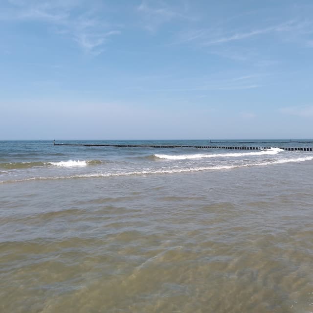 Good View - Jazzy Coffee