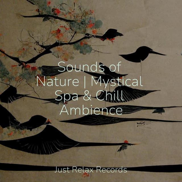 Sounds of Nature | Mystical Spa & Chill Ambience - Nature Sounds Nature Music