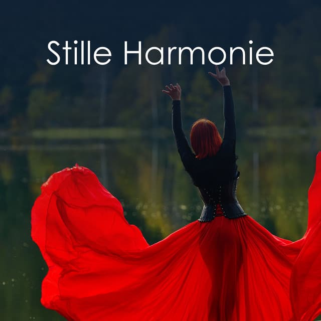 Stille Harmonie - Max Entspannung