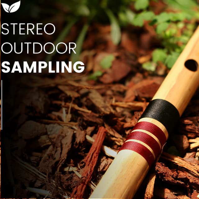 Open Air Frequencies Real World Sound Sampling - rainstantly