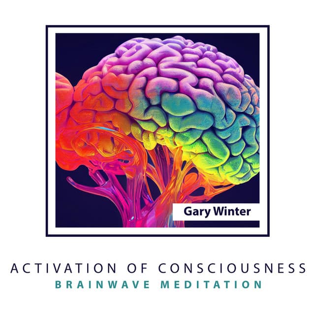 Activation of Consciousness: Brainwave Meditation - Gary Winter