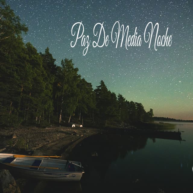Paz De Media Noche - Música Instrumental Maestro