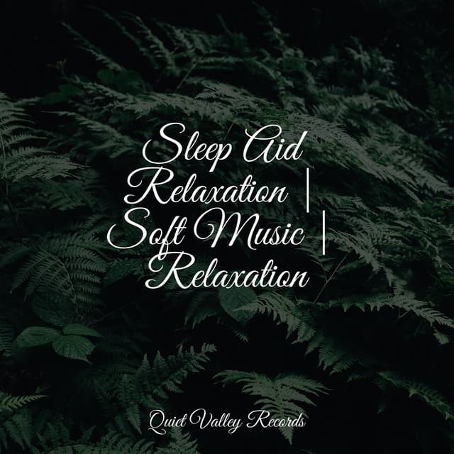 Sleep Aid Relaxation | Soft Music | Relaxation - Internal Yoga