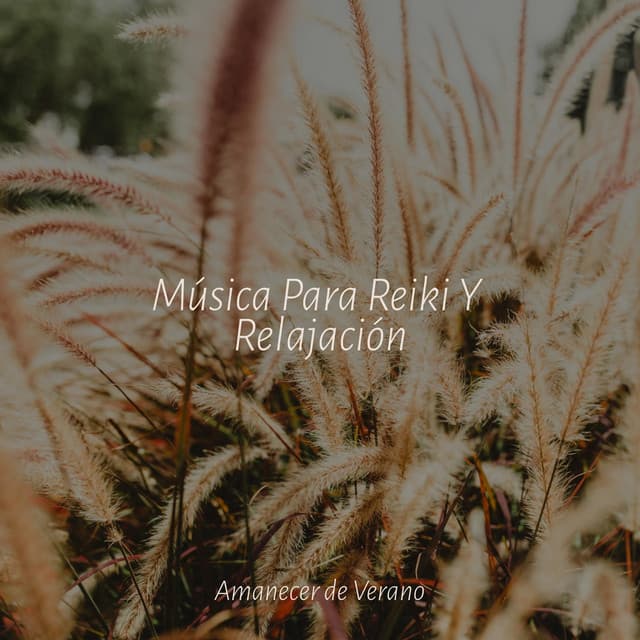 Música Para Reiki Y Relajación - Música ambiental relajante