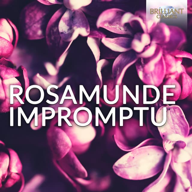 Rosamunde Impromptu - Franz Schubert