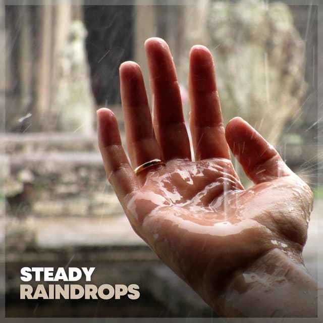 Steady Raindrops - Day & Night Rain