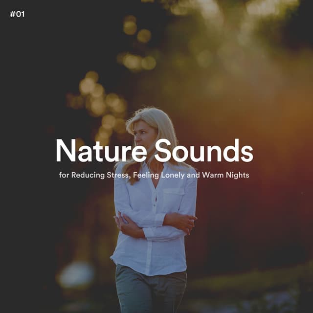 #01 Nature Sounds for Reducing Stress, Feeling Lonely and Warm Nights - The Nature Soundscapes