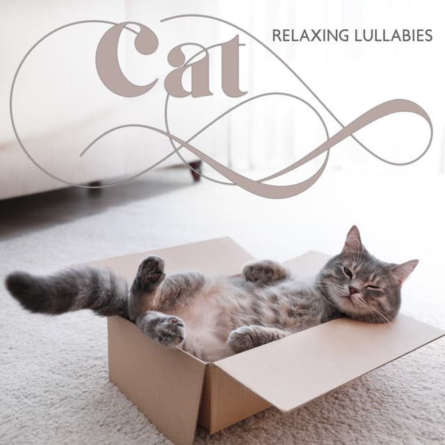 Cat Relaxing Lullabies - Relaxing Music