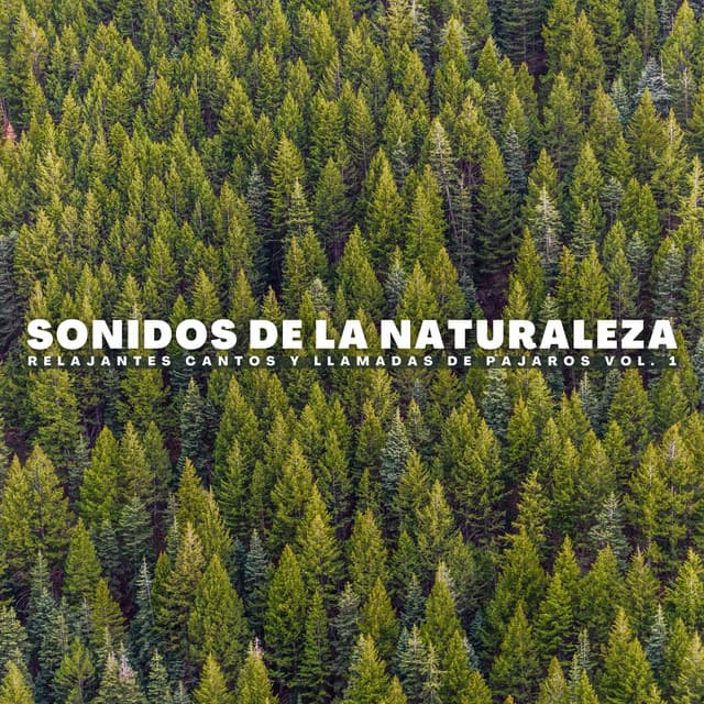 Sonidos De La Naturaleza: Relajantes Cantos Y Llamadas De Pájaros Vol. 1 - Serie de sonidos de la naturaleza