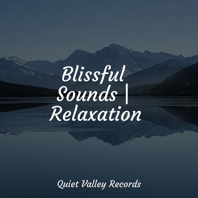 Blissful Sounds | Relaxation - Nature and Rain