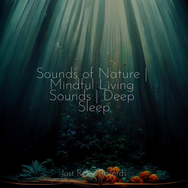 Sounds of Nature | Mindful Living Sounds | Deep Sleep - Chinese Relaxation and Meditation