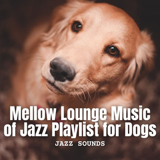 Jazz Sounds: Mellow Lounge Music of Jazz Playlist for Dogs - Monday Morning Jazz Playlist