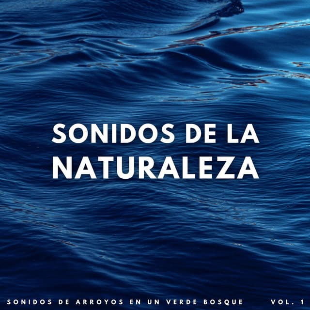 Sonidos De La Naturaleza: Sonidos De Arroyos En Un Verde Bosque Vol. 1 - Sonidos De Todos Ruídos