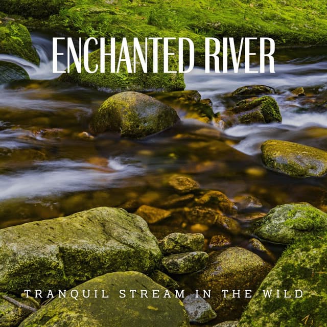 Enchanted River Streams: A Symphony of Nature - Nature Calm