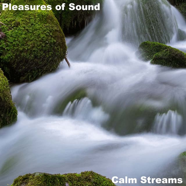 Pleasures of Sound