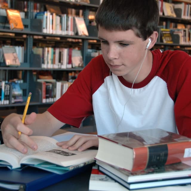 The Lofi Equilibrium of Study: Finding Balance Through Music - Lofis