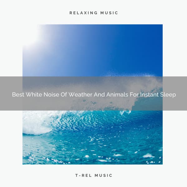 Best White Noise Of Weather And Animals For Instant Sleep - Noise Gravity