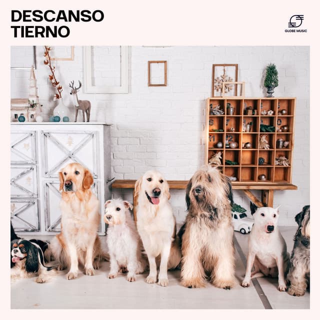 Descanso Tierno: Música para Dormir Perros - Cachorros Bebes Orchestra