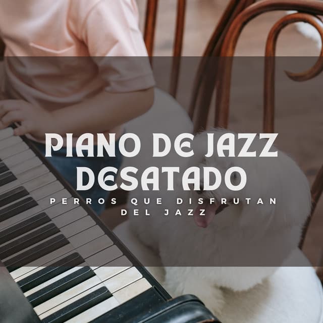 Piano De Jazz Desatado: Perros Que Disfrutan Del Jazz - Canal de piano clásico