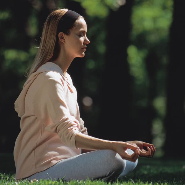 Nighttime Cricket Meditation: Nature's Insects in Serene Harmony - Sleeping Stars