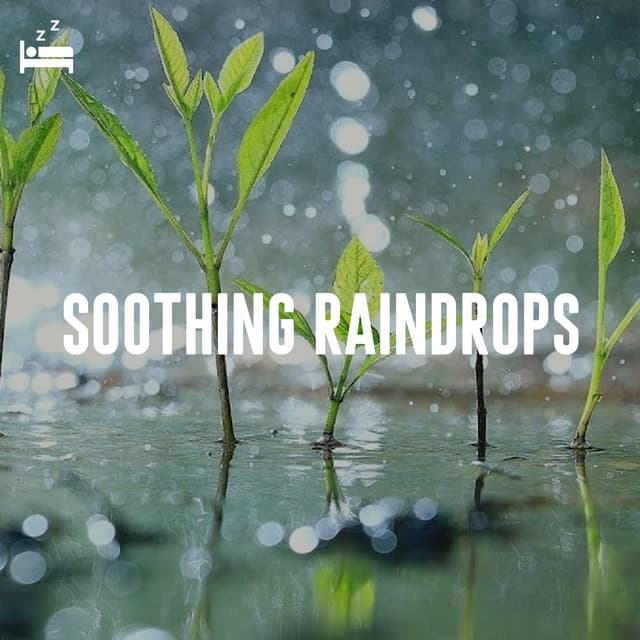 Soothing Raindrops - Rain Sounds Lab
