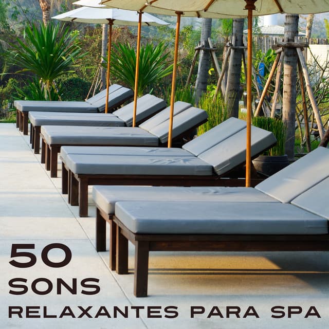 50 Sons Relaxantes para Spa - Ambientes Naturais para Centro de Bem-Estar, Massagem e Reiki, Musicoterapia para o Sono Profundo - Beauty Spa Music Collection