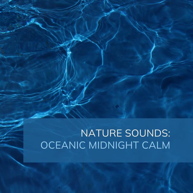 Nature Sounds: Oceanic Midnight Calm - Ocean Sounds
