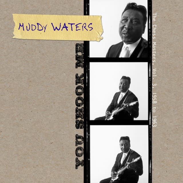 You Shook Me - The Chess Masters, Vol. 3, 1958 To 1963 - Muddy Waters