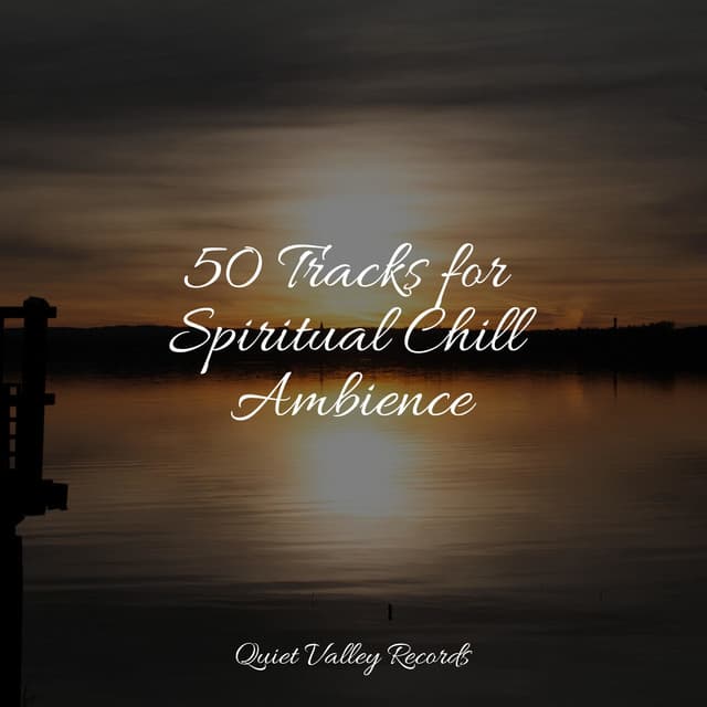 50 Tracks for Spiritual Chill Ambience - Sol y Lluvia
