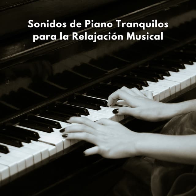 Sonidos De Piano Tranquilos Para La Relajación Musical - Novela para piano