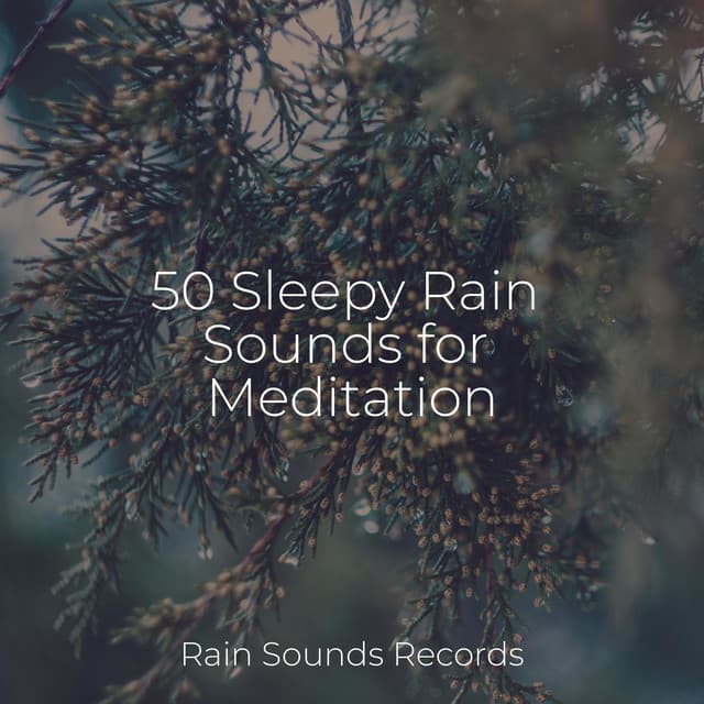 50 Sleepy Rain Sounds for Meditation - Sleepy Night Music