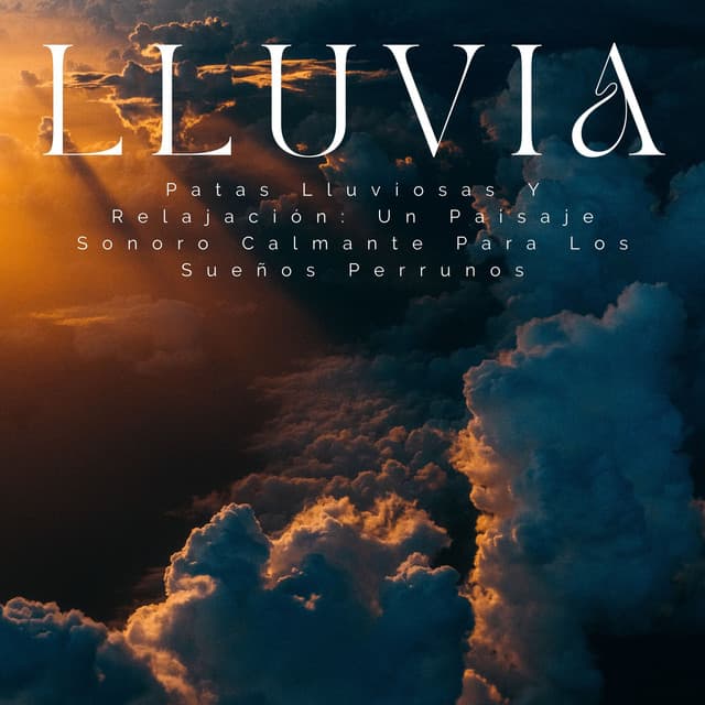 Patas Lluviosas Y Relajación: Un Paisaje Sonoro Calmante Para Los Sueños Perrunos - Sonidos De Lluvia y Viento