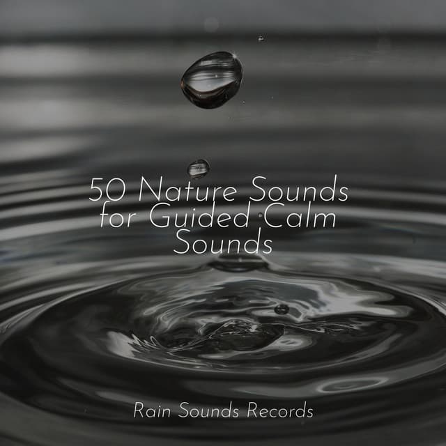 50 Nature Sounds for Guided Calm Sounds - Rain Sounds & White Noise