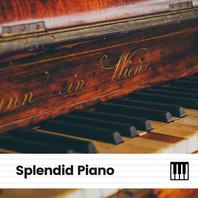 Splendid Piano - Study Piano Relaxation
