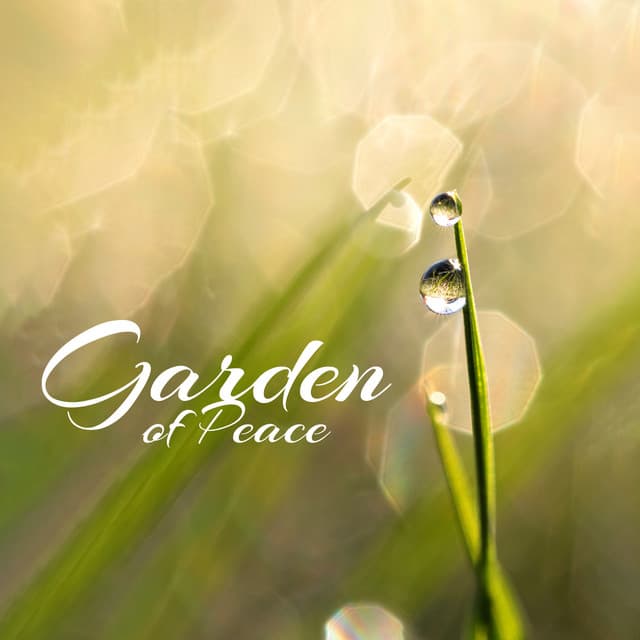 Garden of Peace: Immersion in the Magical Sounds of Nature, Relaxation by the Flowing Water - Garden Music Academy