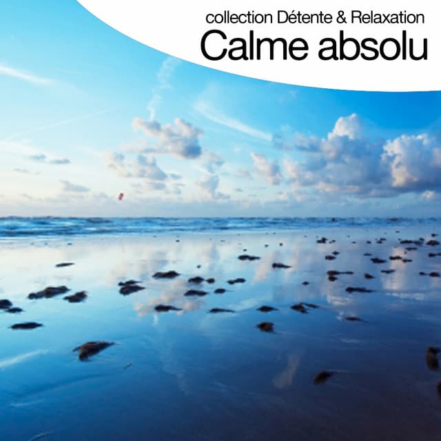 Calme Absolu - Relaxation Big Band
