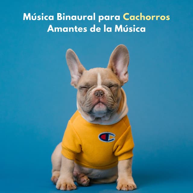 Música Binaural Para Cachorros Amantes De La Música - Tormenta Solar