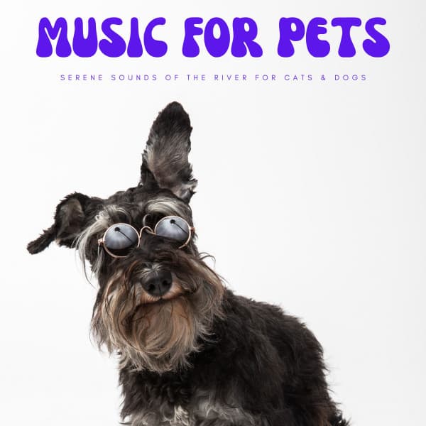 Music For Pets: Serene Sounds Of The River For Cats & Dogs - Gentle Doggy Music