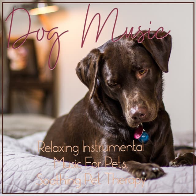 Dog Music : Relaxing Instrumental Music For Pets, Soothing Pet Therapy - Dog Music Zone