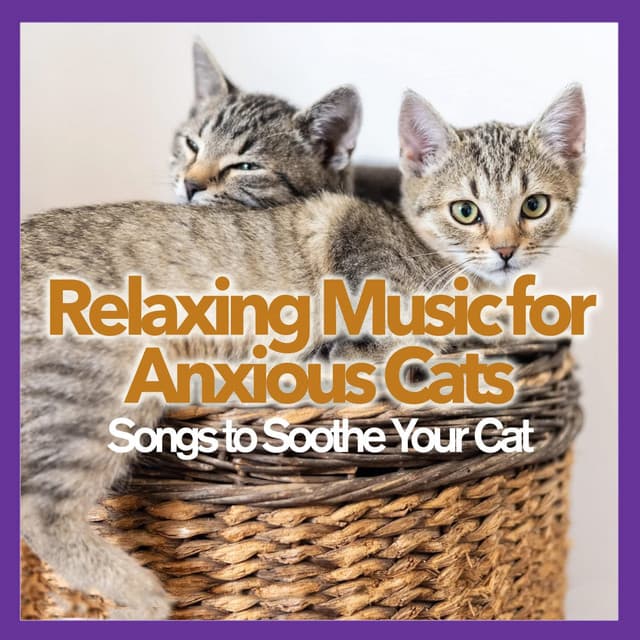Relaxing Music for Anxious Cats: Songs to Soothe Your Cat - Cat Music Therapy