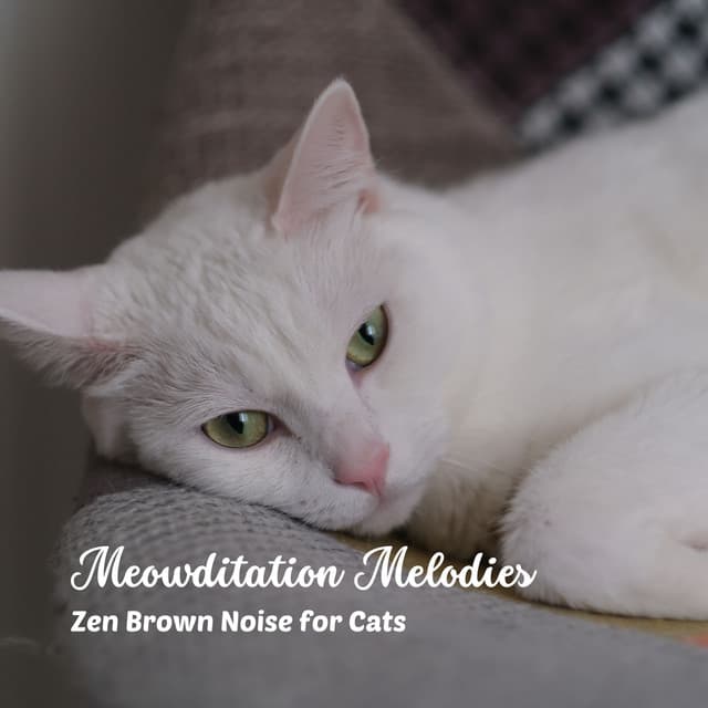 Meowditation Melodies: Zen Brown Noise for Cats - Noise Foundation